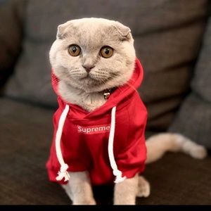 Meet your Posher, Juelz